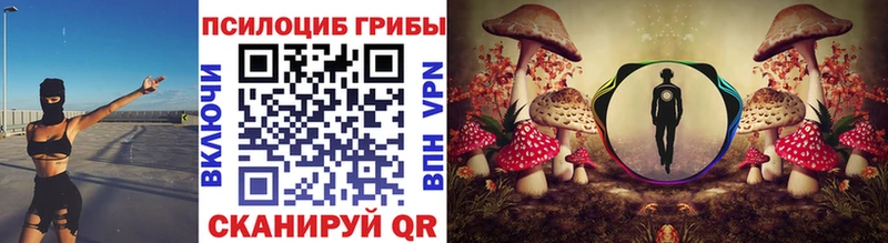 Псилоцибиновые грибы Magic Shrooms  Купить  Фрязино 